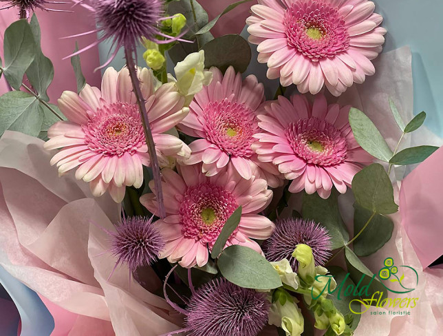 Bouquet of Pink Gerbera Daisies photo